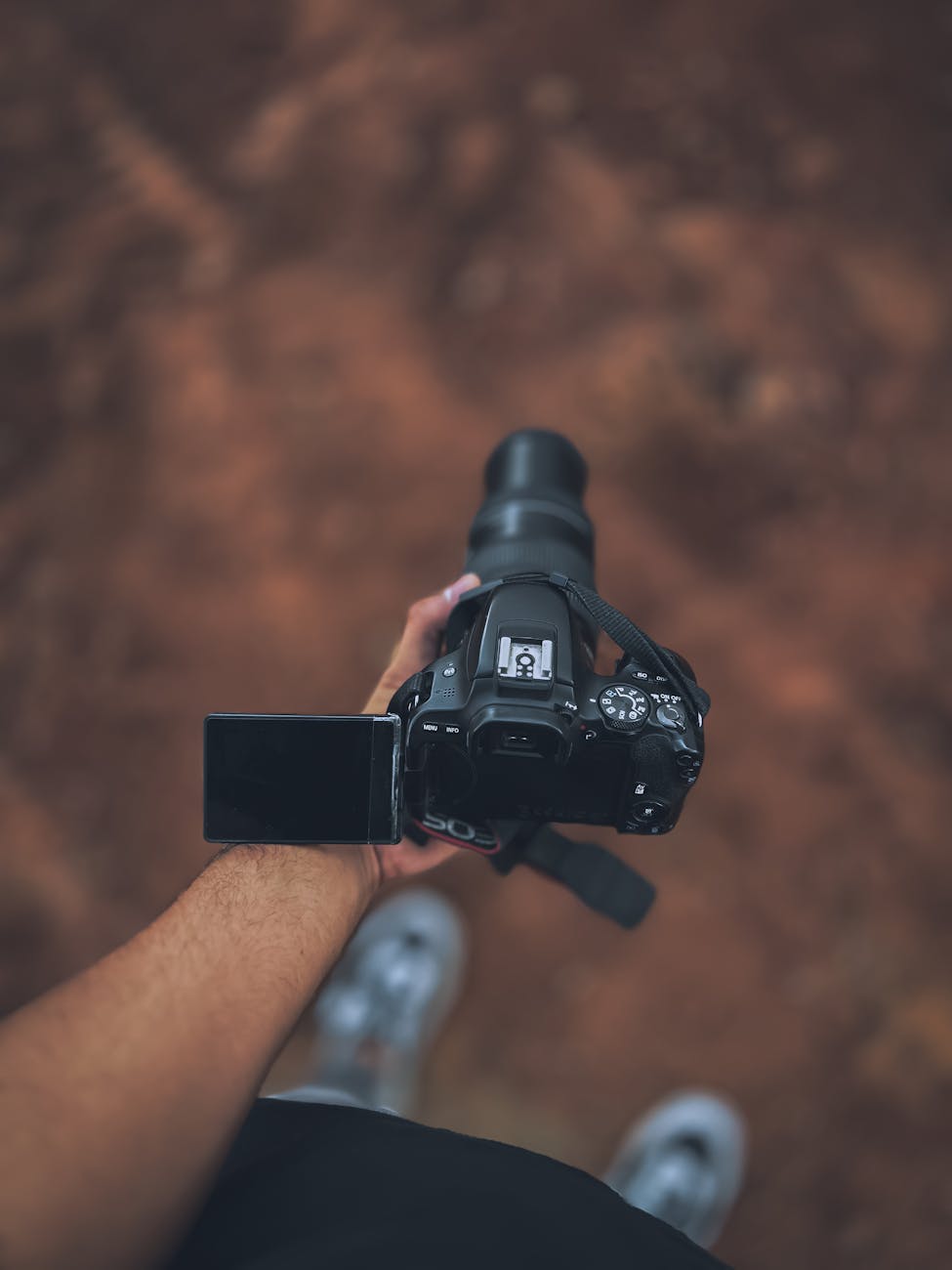 Burst Mode vs Single Shot: Which One Actually Makes Better Wildlife Photographs?
